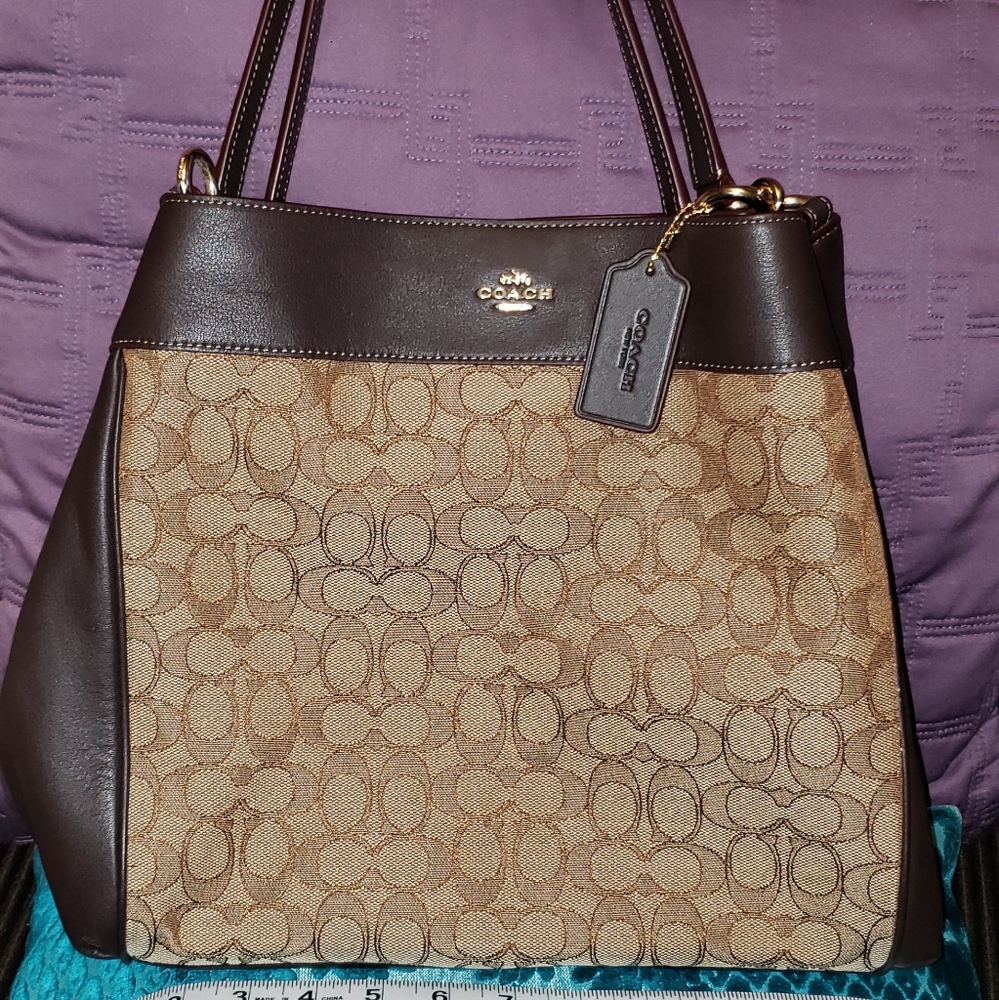 Coach hobo leather bag.